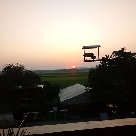 Guesthouse Zivko Dobrovce Dış mekan fotoğraf