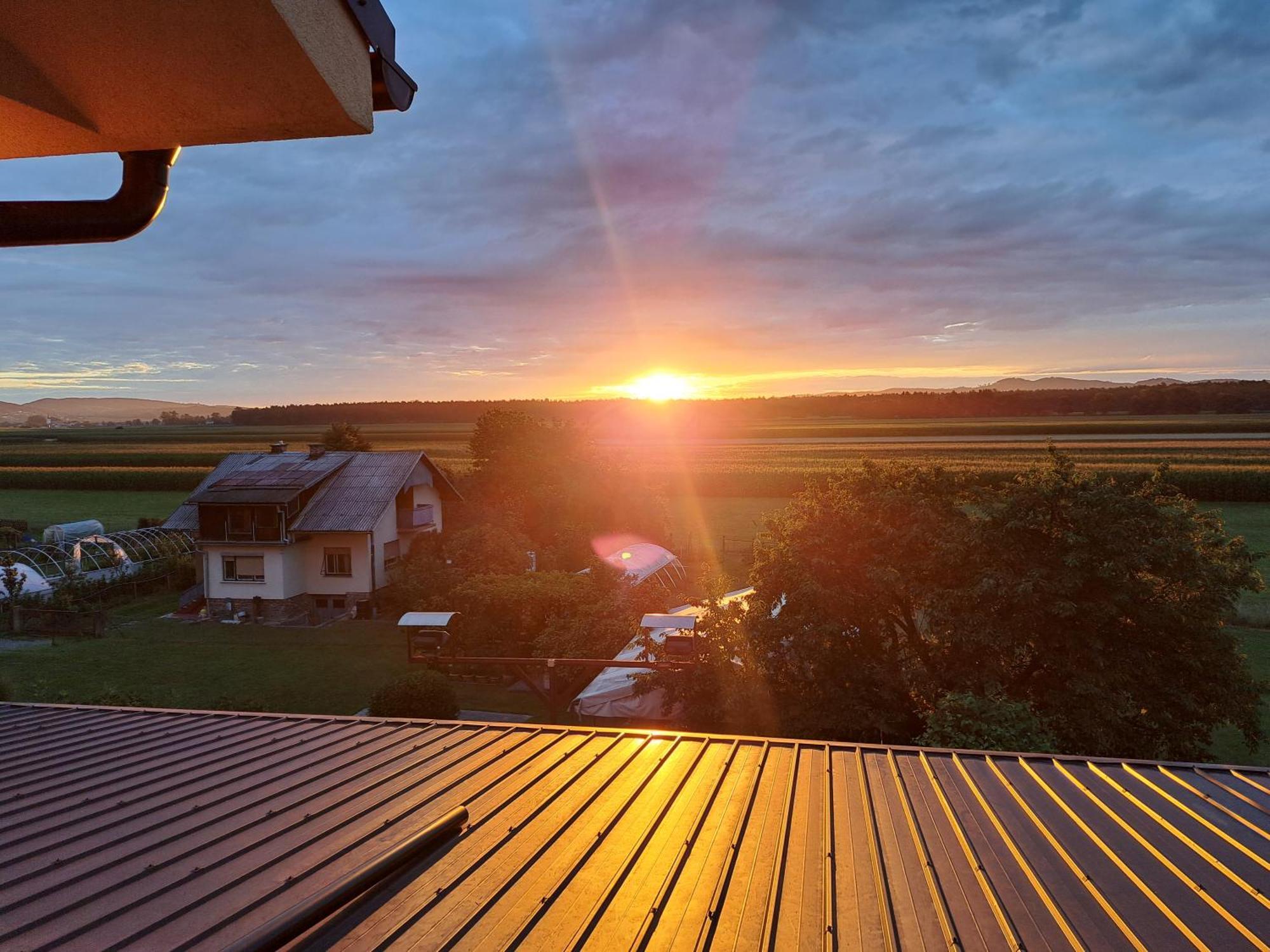 Guesthouse Zivko Dobrovce Dış mekan fotoğraf
